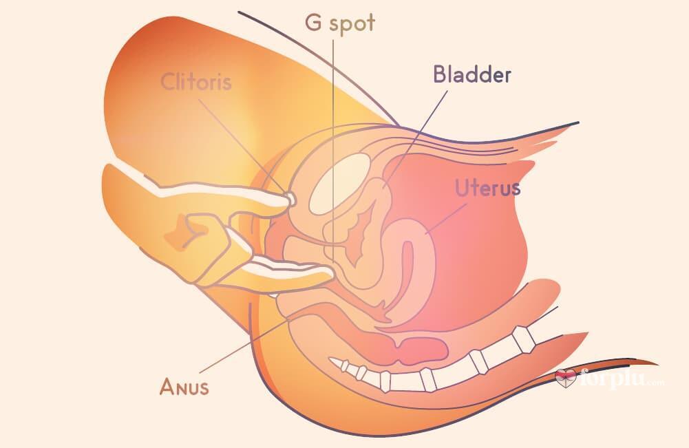 g spot