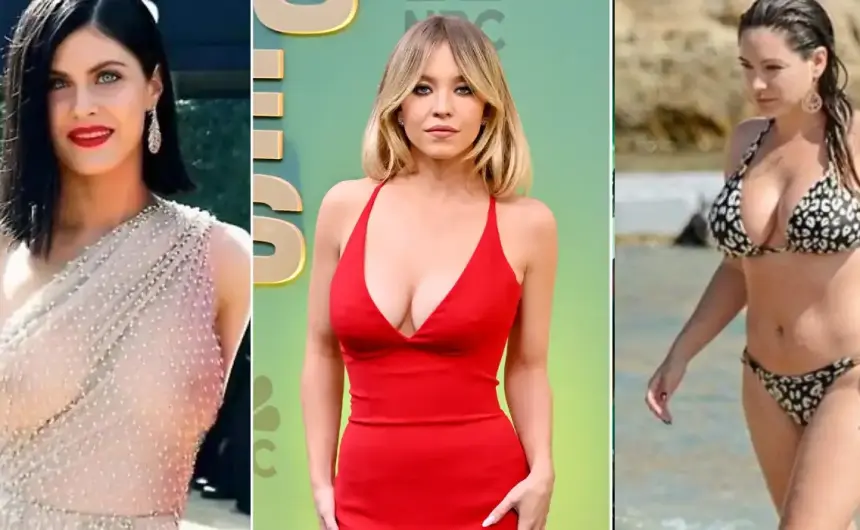 Hollywood Top 15 Most Popular P-Star Actresses